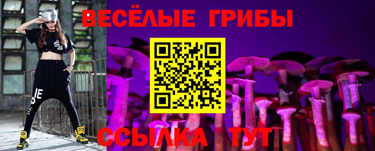 Галлюциногенные грибы мицелий  Вход с VPN  Улан-Удэ 